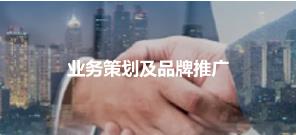 某國(guó)有企業子集團建設方案